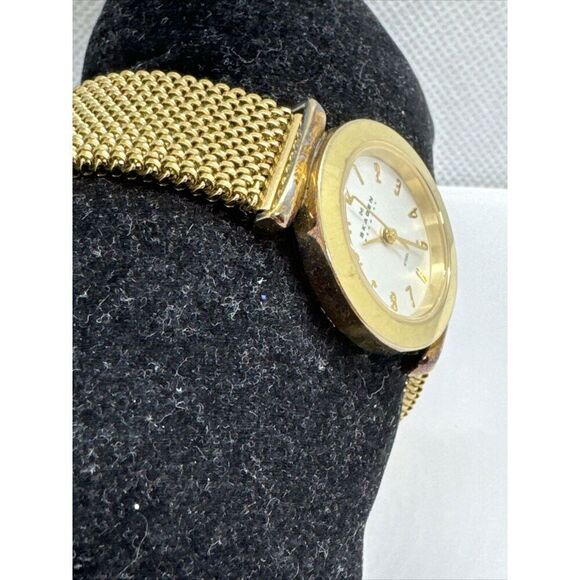 Skagen Denmark 107SGG1 Women\'s Gold Stainless Steel Analog Dial Watch JNA953 main image 8